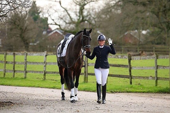 British Dressage TQ, (P-AM), Short arena series & Trailblazer 1st Round Qualifiers - Swallowfield Equestrian - 14th February 2026