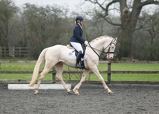 Dressage Short Arena, Trailblazers and TQ - Swallowfield Dressage - 8th March 2026