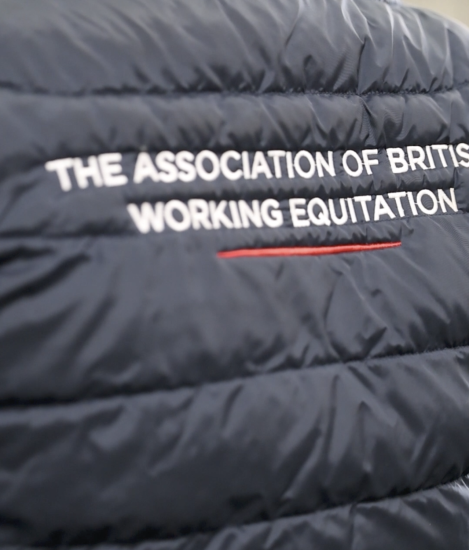 Working Equitation