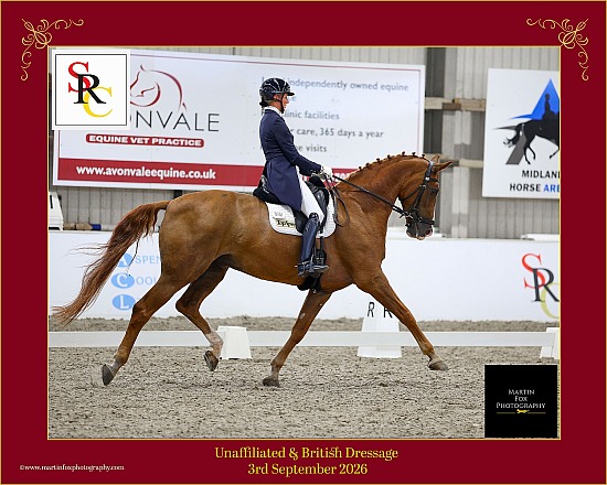 Unaffiliated & British Dressage - 03 September 2026 - Solihull Riding Club